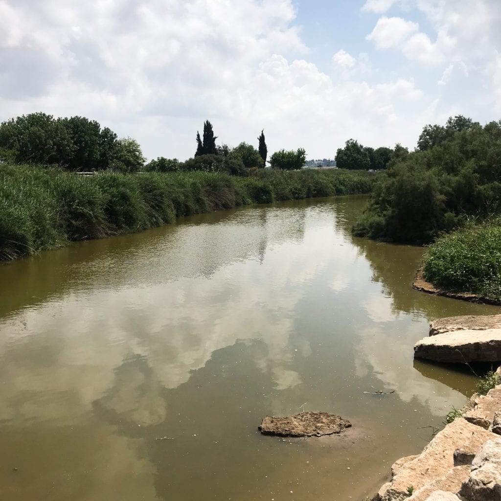 NAHAL ALEXANDER - NATIONAL PARK, SEA TURTLES PARK