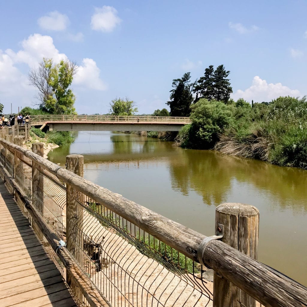 NAHAL ALEXANDER - NATIONAL PARK, SEA TURTLES PARK