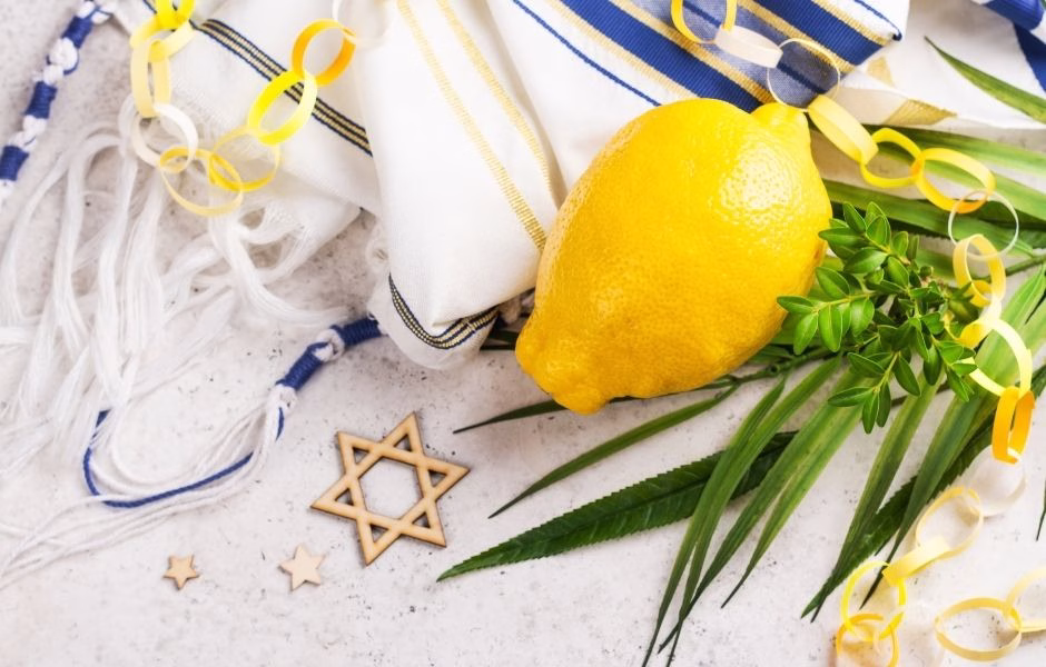 סוכות במוזיאון